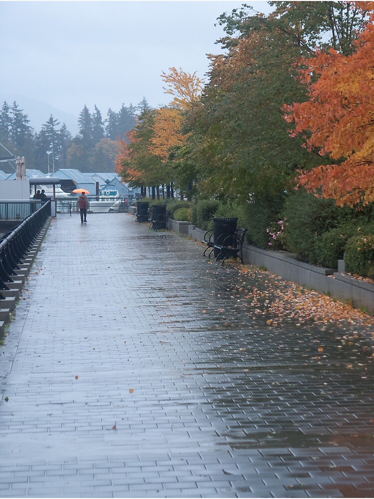 Thumbnail 2 of 2, Postcard, Heading home in the rain, Vancouver, Canada, 2007 designed and sold by chrisculy.