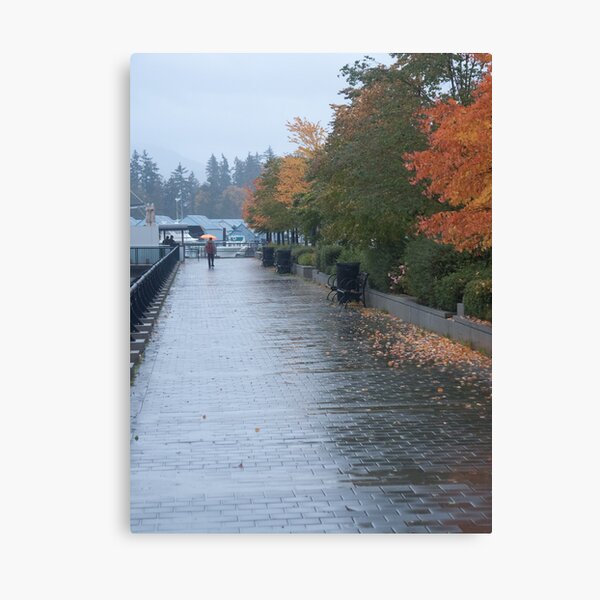 Heading home in the rain, Vancouver, Canada, 2007 Canvas Print