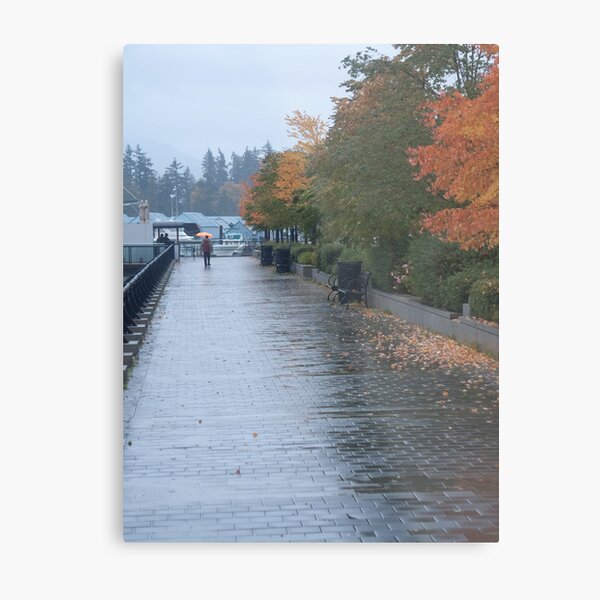 Heading home in the rain, Vancouver, Canada, 2007 Metal Print