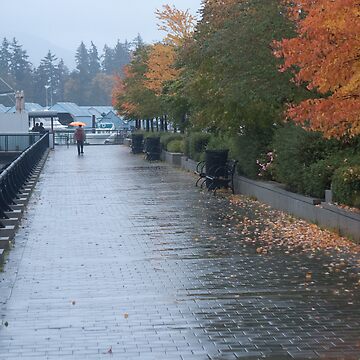 Artwork thumbnail, Heading home in the rain, Vancouver, Canada, 2007 by Chris Culy
