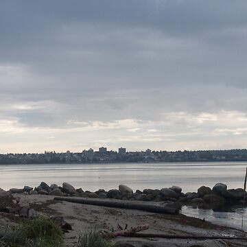 Artwork thumbnail, Vancouver grays, Canada, 2007 by Chris Culy