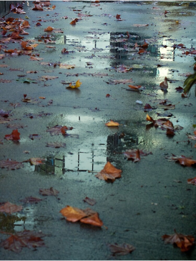 After, Vancouver, Canada, 2007 by chrisculy