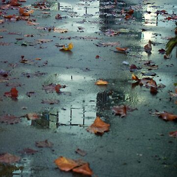 Artwork thumbnail, After, Vancouver, Canada, 2007 by Chris Culy