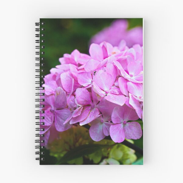Item preview, Hydrangea Macro/Closeup - Pink Flower designed and sold by Harmony Of The Mind.