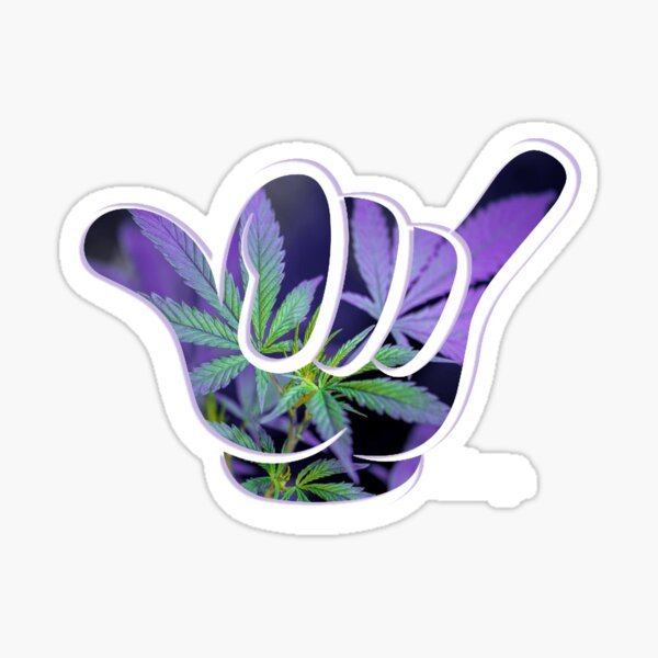 SHAKKA/zZURP. Sticker