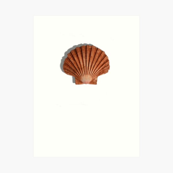 Sea shell t-shirt, summer 2019 shirt Art Print