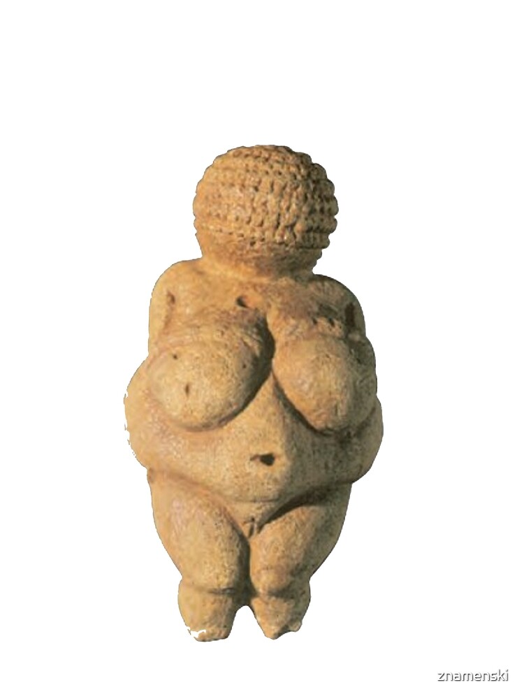 #Venus of #Willendorf #artifact sculpture art figurine statue humanbody #VenusofWillendorf by znamenski