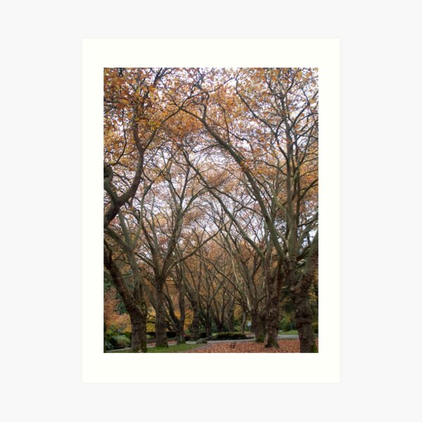 Art Print