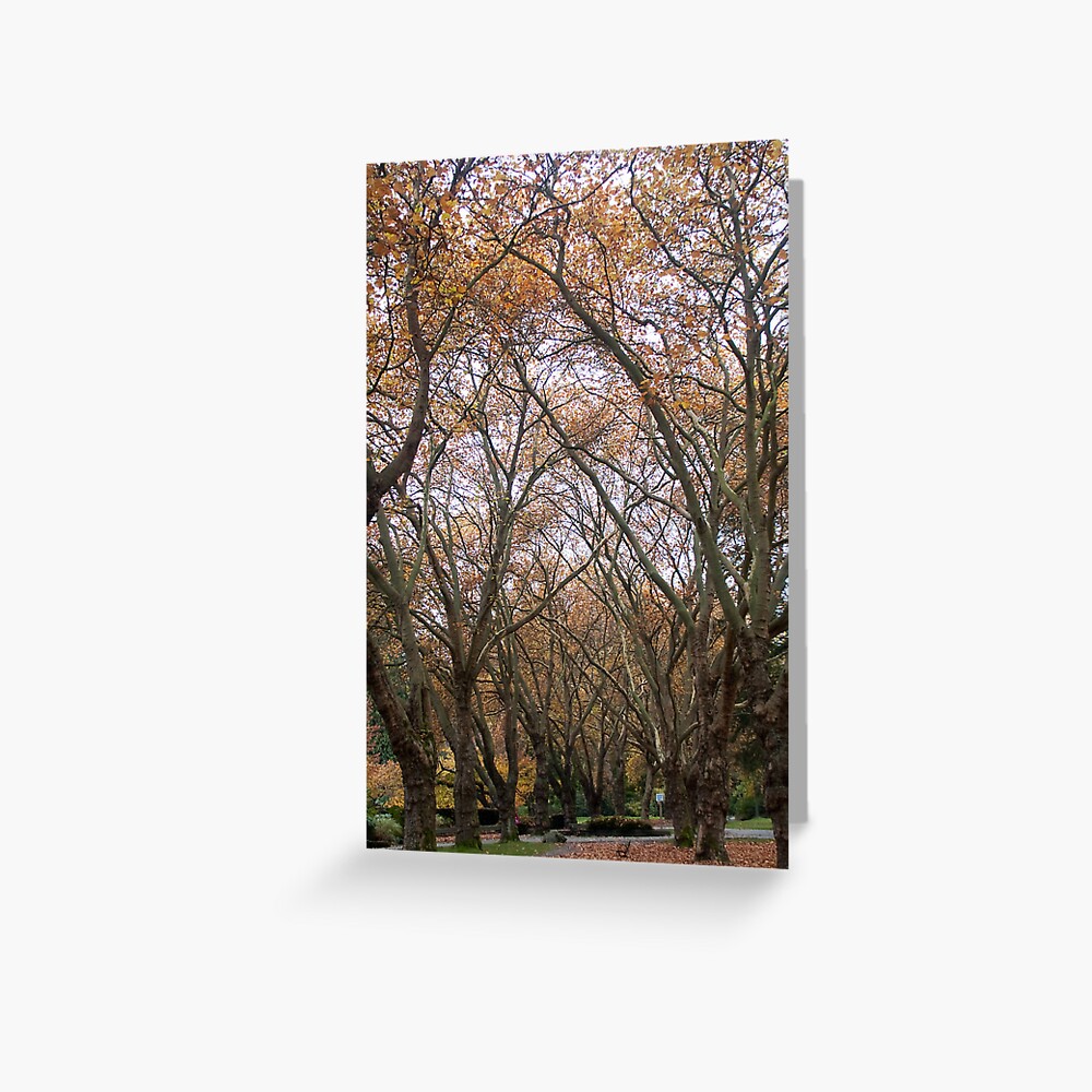 Item preview, Greeting Card designed and sold by chrisculy.