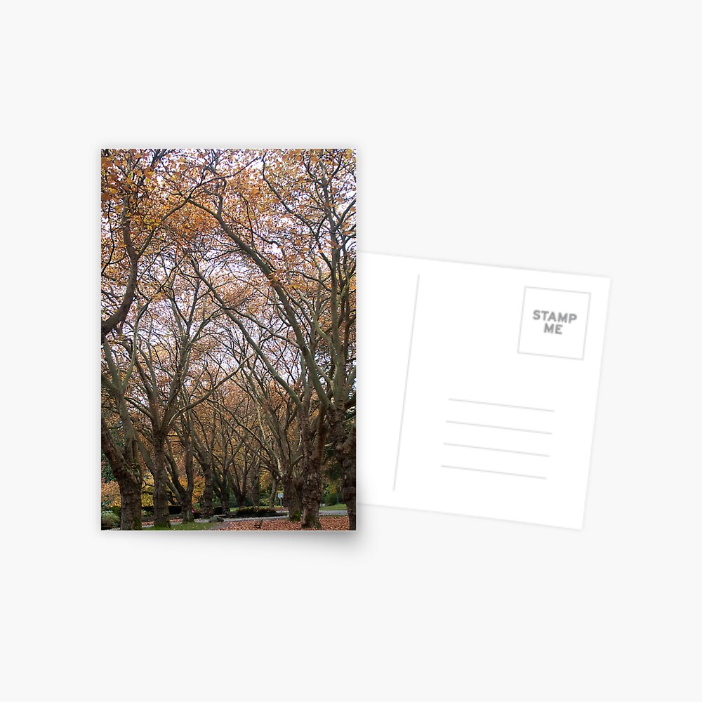 Item preview, Postcard designed and sold by chrisculy.
