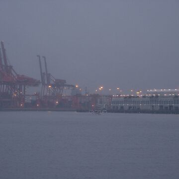 Artwork thumbnail, Coming to work in the fog, Vancouver, Canada, 2007 by Chris Culy