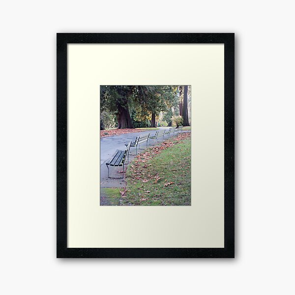 Done for the season, Vancouver, Canada, 2007 Framed Art Print