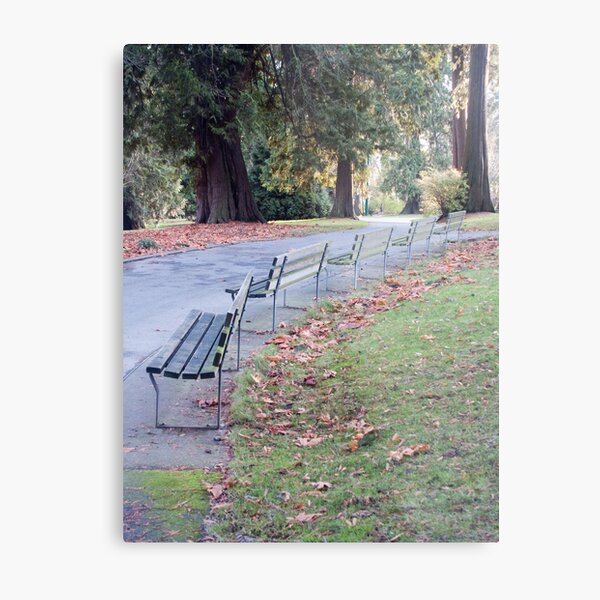 Done for the season, Vancouver, Canada, 2007 Metal Print