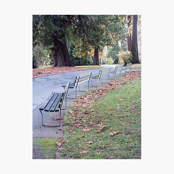 Done for the season, Vancouver, Canada, 2007 Photographic Print