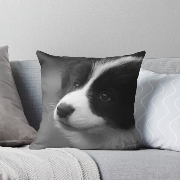 Item preview, border Collie Puppy designed and sold by David Parr.