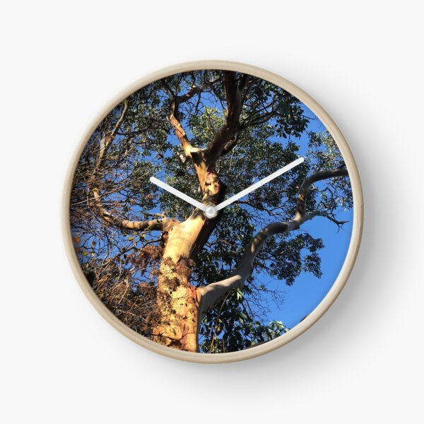 Item preview, Madrona designed and sold by FridayHarborMan.
