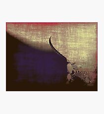 jewels Photographic Print