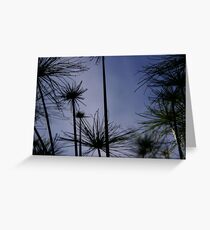 Field of Line Greeting Card