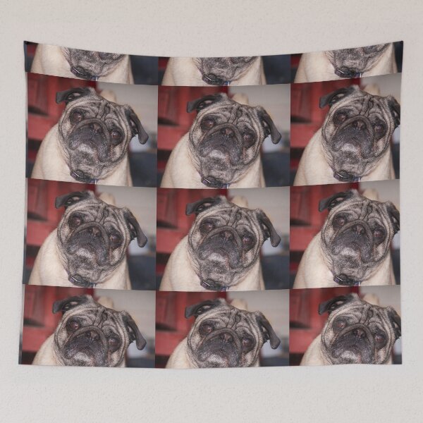 Item preview, Bandit designed and sold by dmartin200.