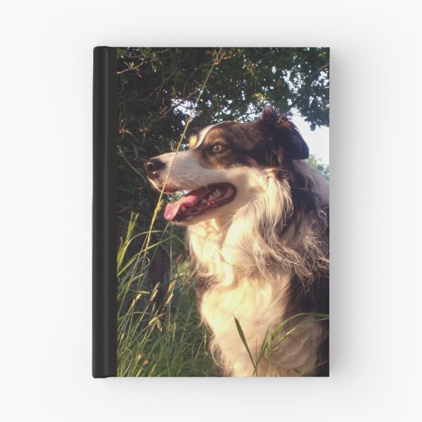 Item preview, Every Dog Has His Day. designed and sold by Michael Haslam.