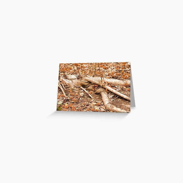 As I Lay Dying Greeting Card