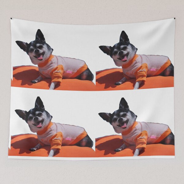 Item preview, Mr. Marbles 10th Birthday! designed and sold by squishygay.