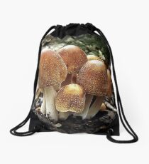Salted Drawstring Bag