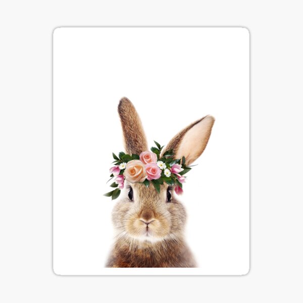 Baby Rabbit With Flower Crown, Baby Animals Art Print by Synplus Sticker