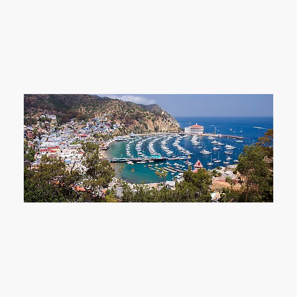 Catalina by the Sea Photographic Print