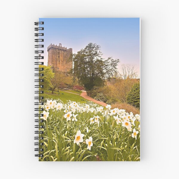 Item preview, Blarney Castle designed and sold by walshphotos.