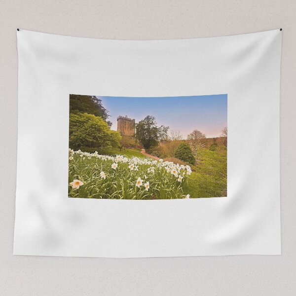 Item preview, Blarney Castle designed and sold by walshphotos.