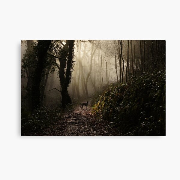 Lurcher in the mist Canvas Print