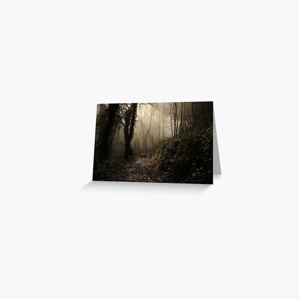 Lurcher in the mist Greeting Card
