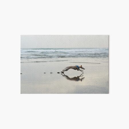 Beach Lurcher Art Board Print