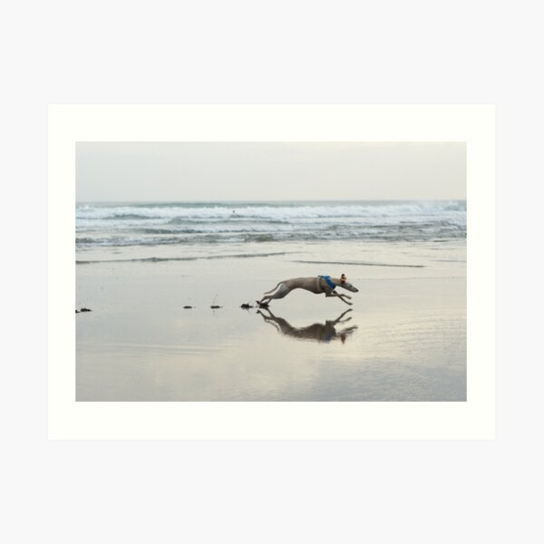 Beach Lurcher Art Print