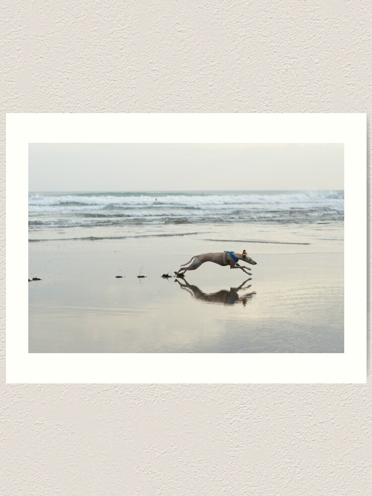 Alternate view of Beach Lurcher Art Print