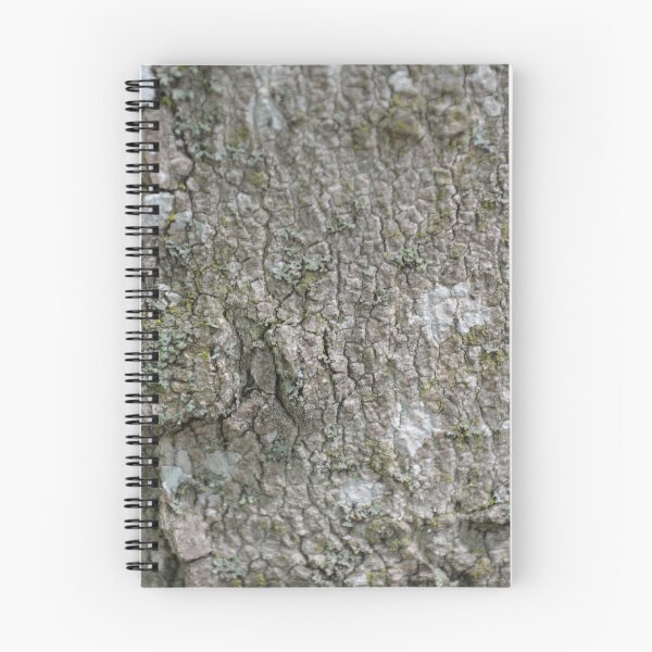 Item preview, Beech Tree Bark designed and sold by tinatippettshop.