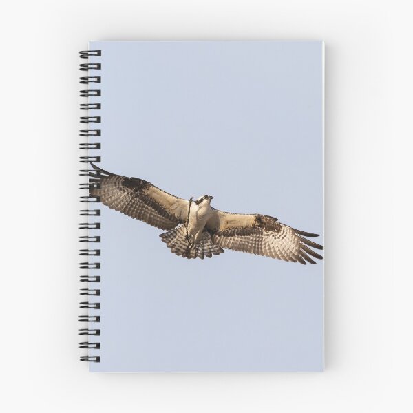 Item preview, Osprey 2019-1 designed and sold by Thomasyoung.