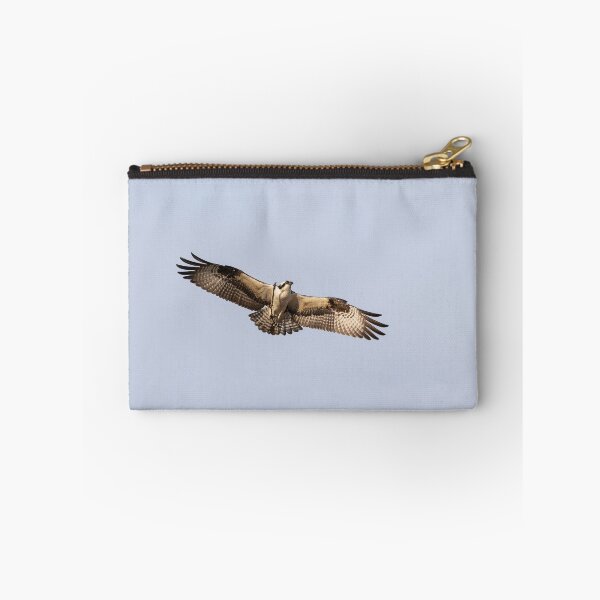 Item preview, Osprey 2019-1 designed and sold by Thomasyoung.