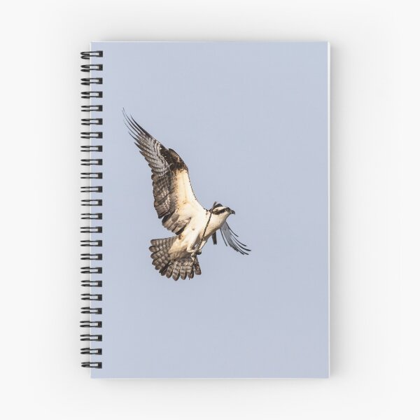 Item preview, Osprey 2019-2 designed and sold by Thomasyoung.