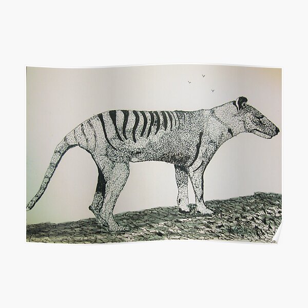 The Thylacine Poster