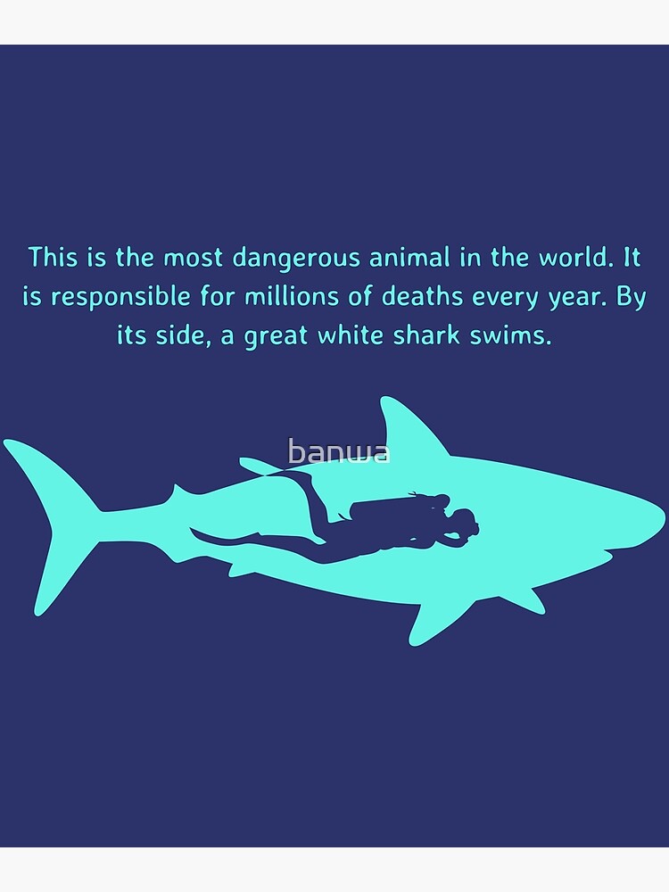 Dangerous Animal Scuba Diver graphic Great White Shark print