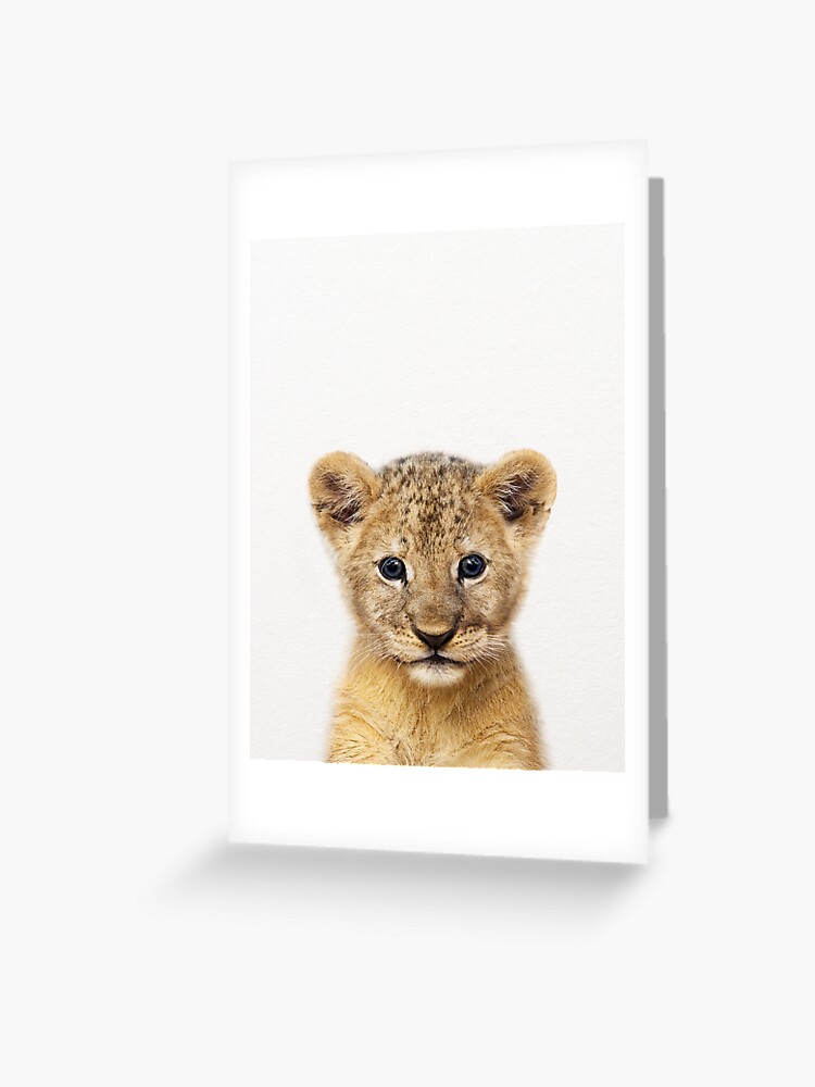 Carte De Vœux Bebe Lion Impression D Art Bebe Animaux Par Synplus Par Synplus Redbubble