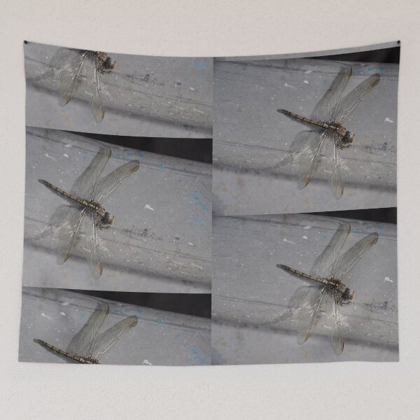 Item preview, Dragonfly, West Ryde, Australia 2017 designed and sold by muz2142.