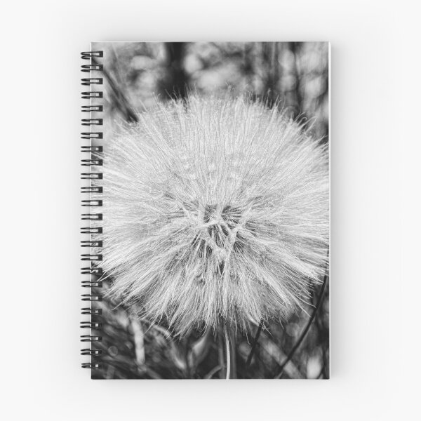 Item preview, Mountain Dandelion designed and sold by Hugh Olin Smith Jr.