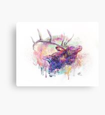 Elk Canvas Print