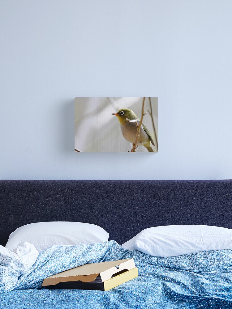 Thumbnail 2 of 3, Canvas Print, Silvereye designed and sold by mistered.