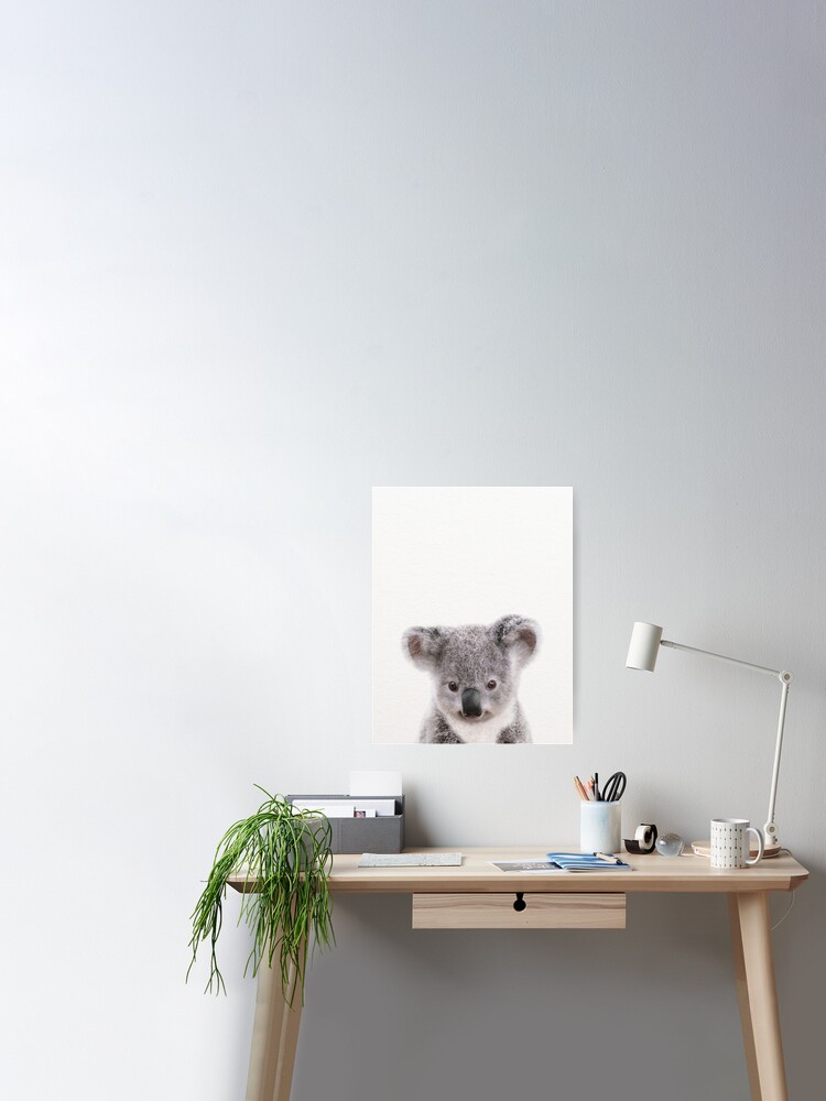 Baby Koala Baby Animals Art Print By Synplus Poster By Synplus Redbubble