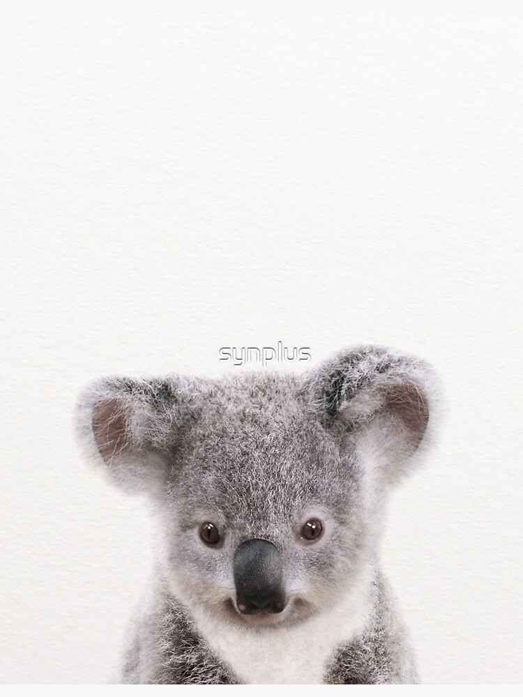 Baby Koala Baby Animals Art Print By Synplus Greeting Card By Synplus Redbubble