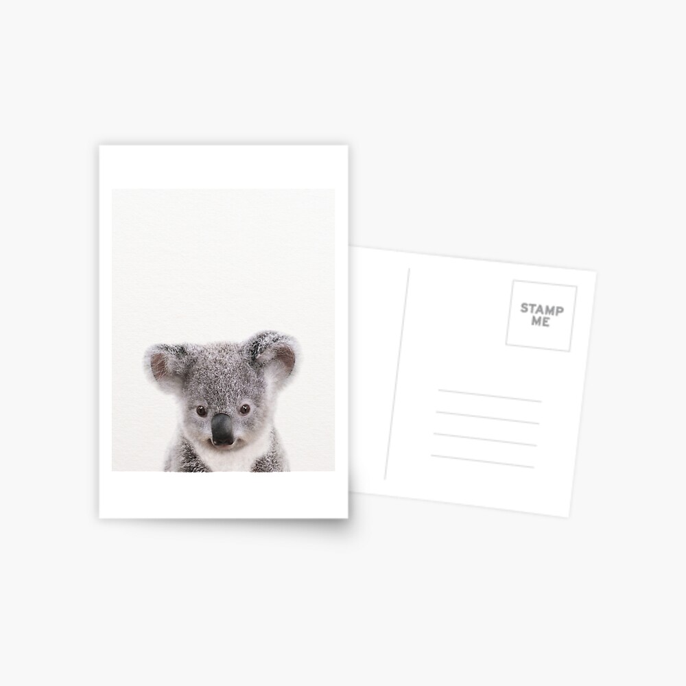 Baby Koala Frameable Greeting Card $5.00